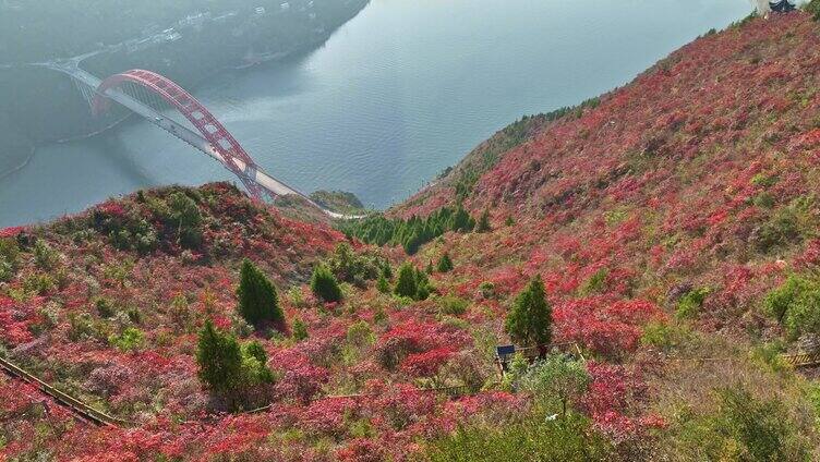 航拍文峰景区红叶