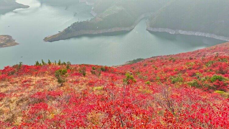 航拍小三峡红叶