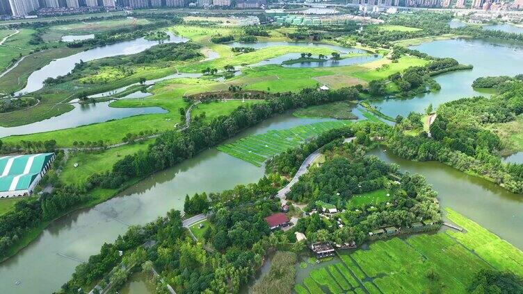 洋湖湿地公园