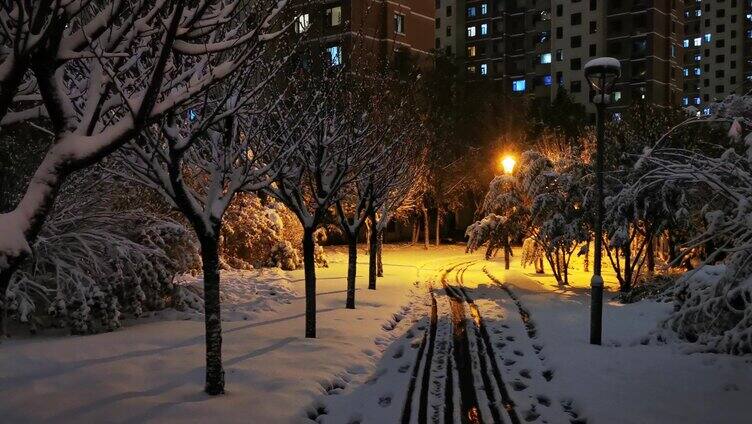 冬天晚上路灯行人雪地