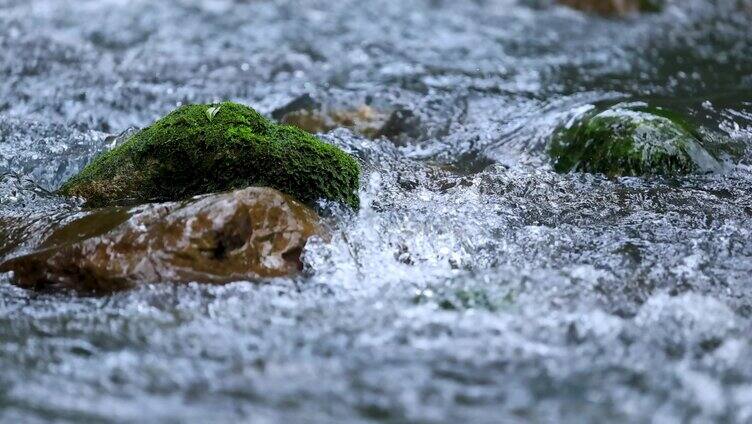 溪河流水岩石苔藓