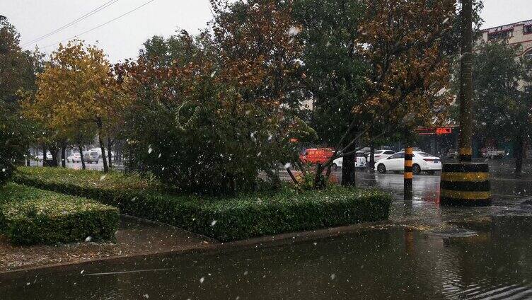 雪天雪花飘落车流