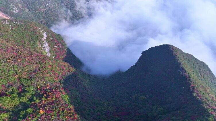 长江三峡巫峡云海