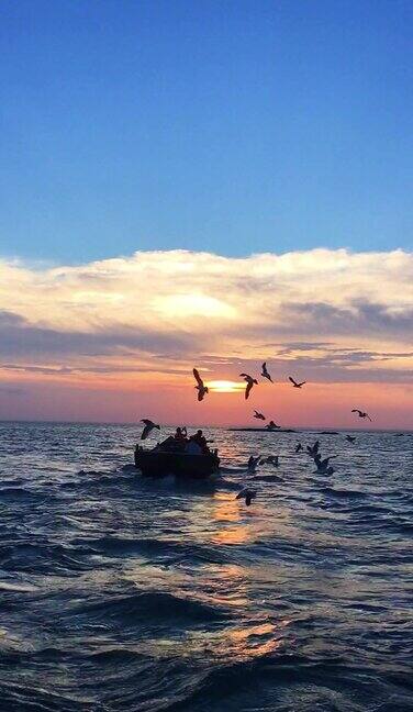 竖屏海鸥日落船只海上