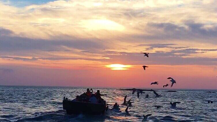 海上成群结队的海鸥日落