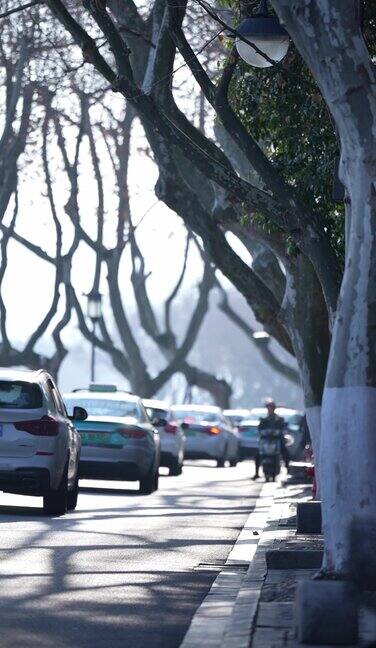 道路上车水马龙