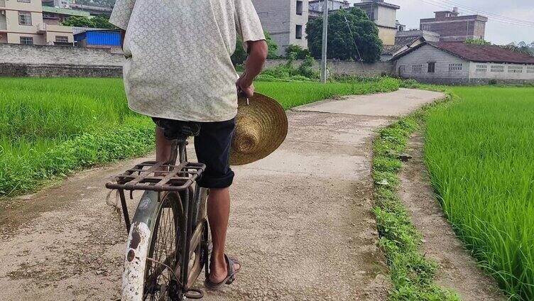 老款单车 老单车 旧老牌自行车