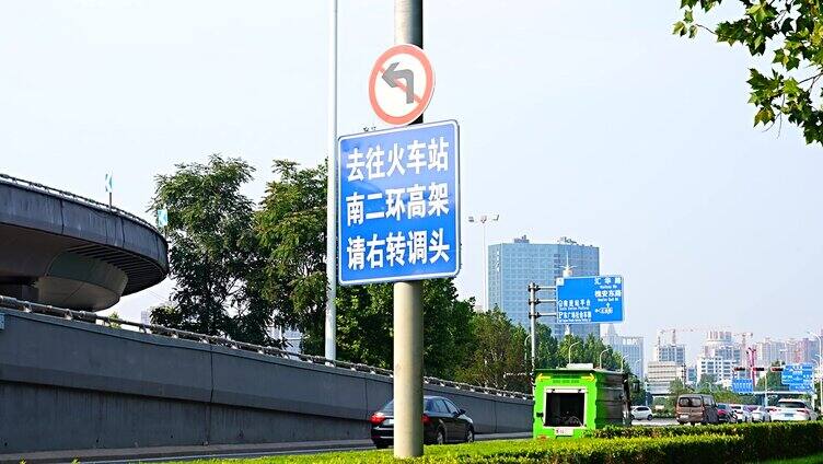 光影树林 绿荫 保护林 城市生长