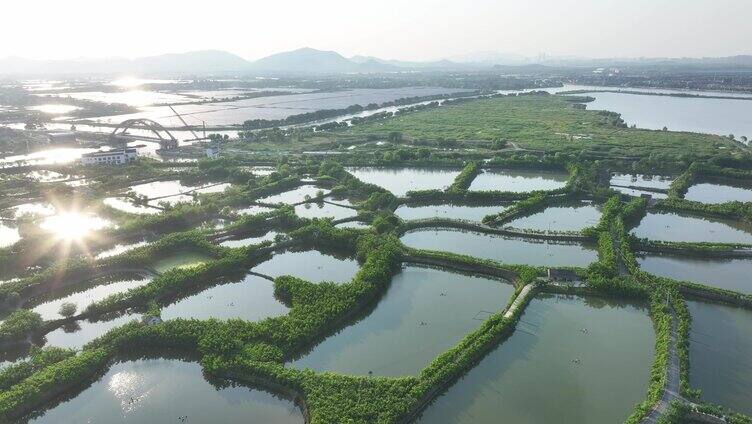 城市山水航拍镜头