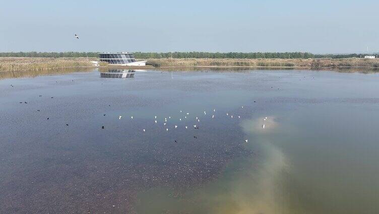 西西湿地秋景