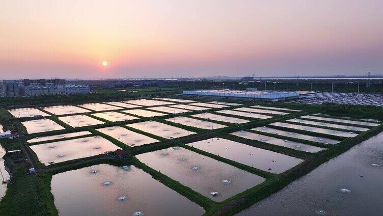 夕阳下的田地