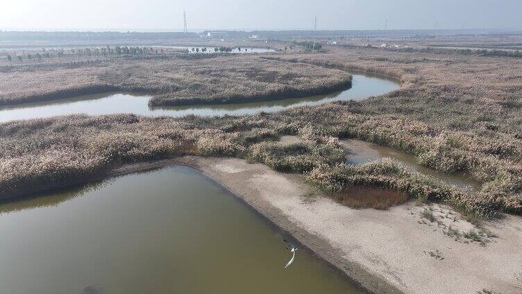 西西湿地秋景