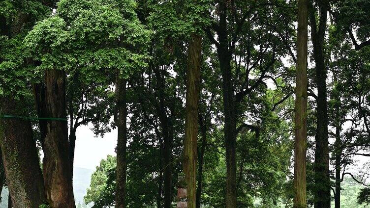 佛教古建筑 云峰寺藏经阁 寺庙