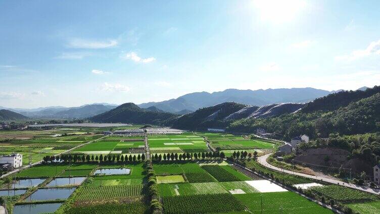 航拍下的山间田野