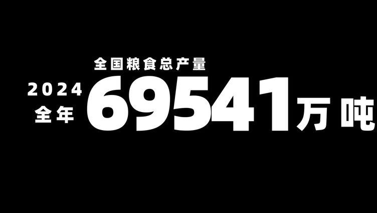 简洁大气数据文字包装