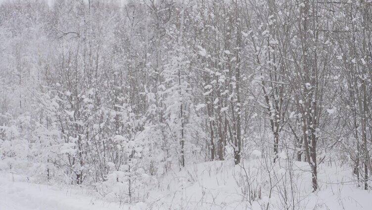 雪地越野驰骋