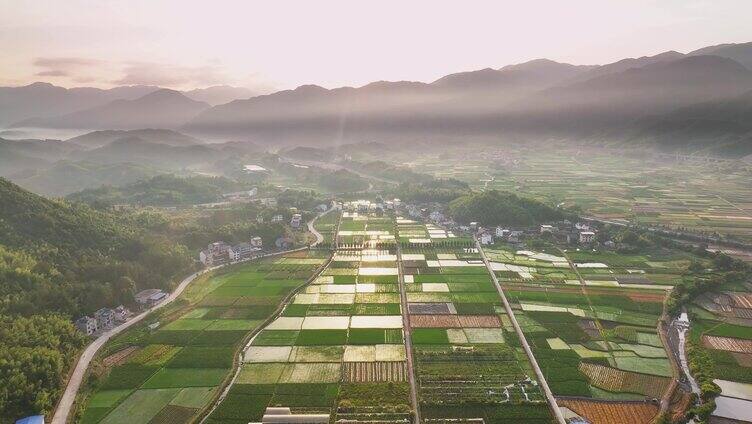 航拍下的田野