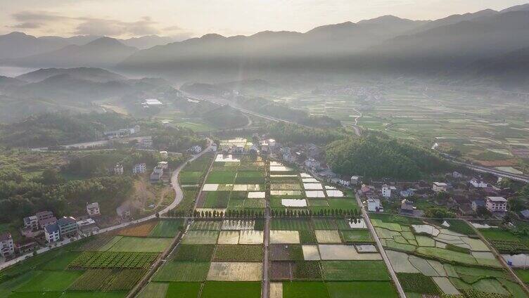 航拍下的田野