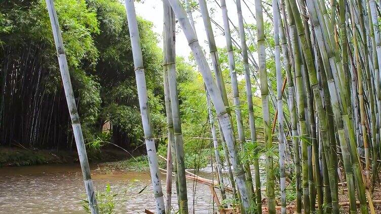 山涧流水水流瀑布视频