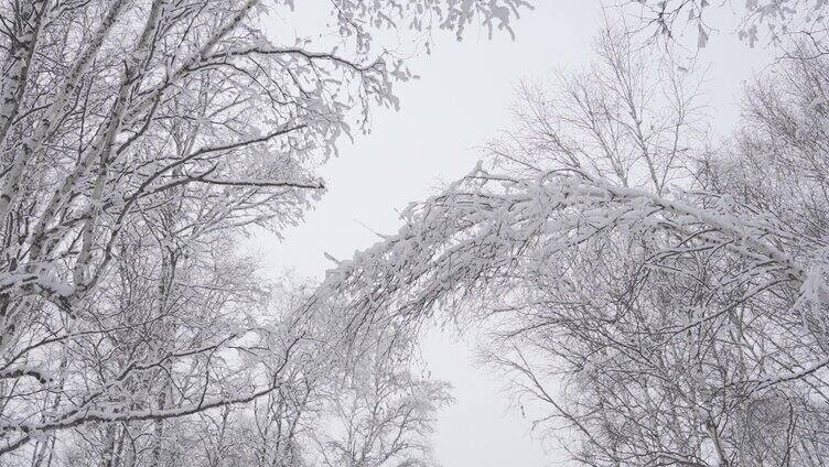 航拍雪景和车队