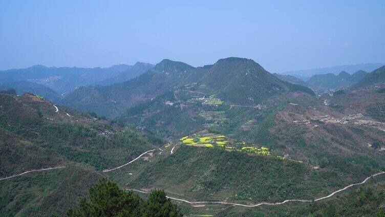 油菜花大山耕地