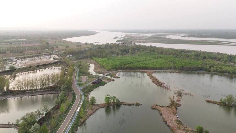 黄河 黄河湿地 水域 湿地 环境