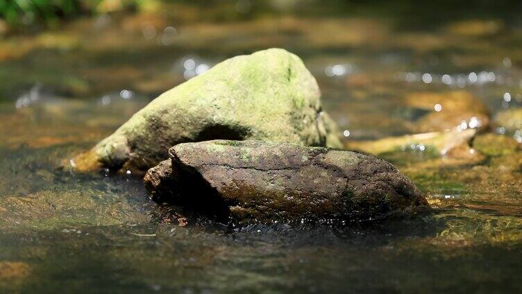 光影交错中的岩石溪流特写