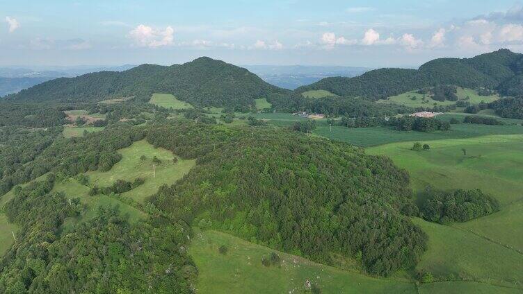 高山山顶树林合集