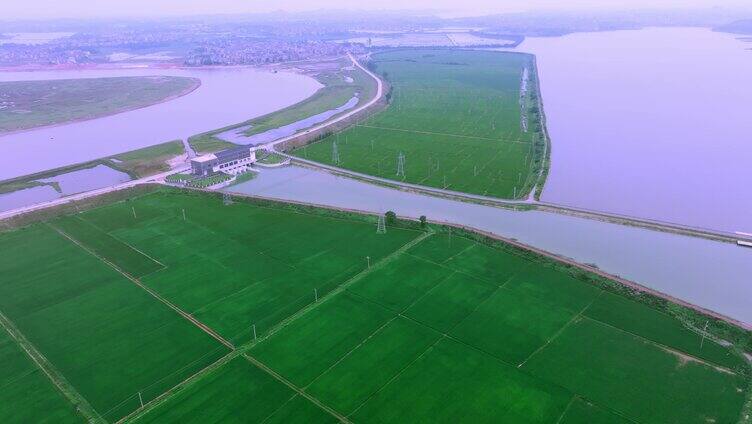 鄱阳湖 稻田 大坝 分水