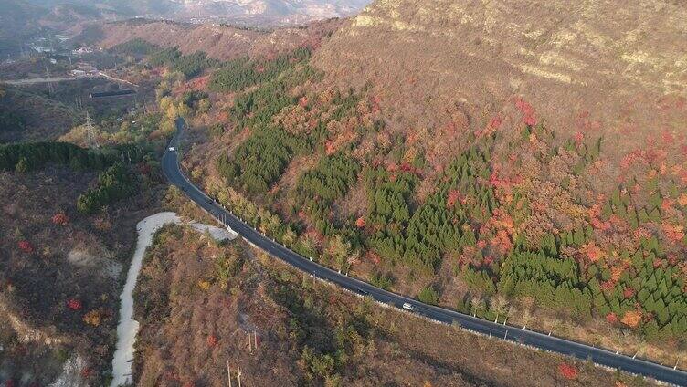 户外大山五颜六的的树