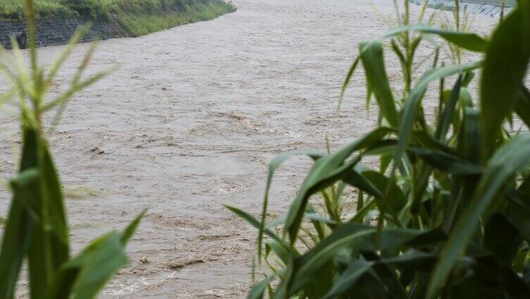 自然灾害山洪泥石流汛期洪水防洪视频素材