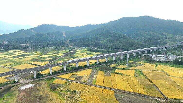 高铁穿越田园