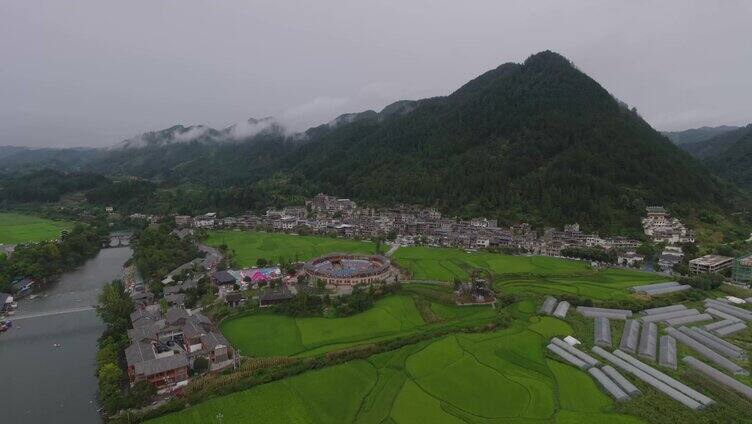 高山山顶树林合集