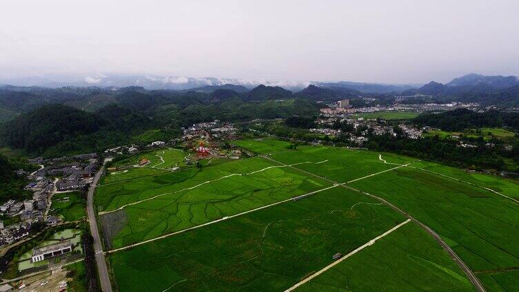 贵定金海雪山