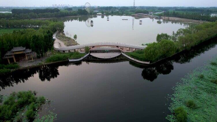 桥 河 风景 航拍 树