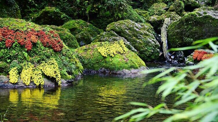 龙苍沟森林公园秋色水景