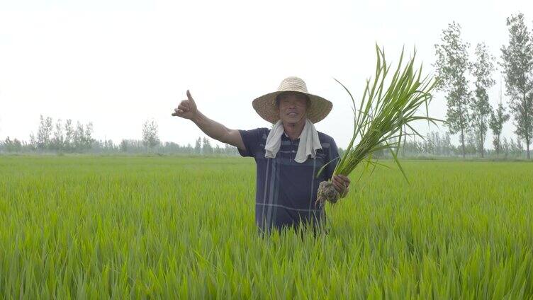 农民竖大拇指