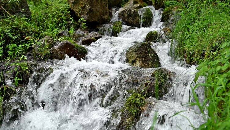 唯美大自然清澈山泉溪水流淌山间小溪水