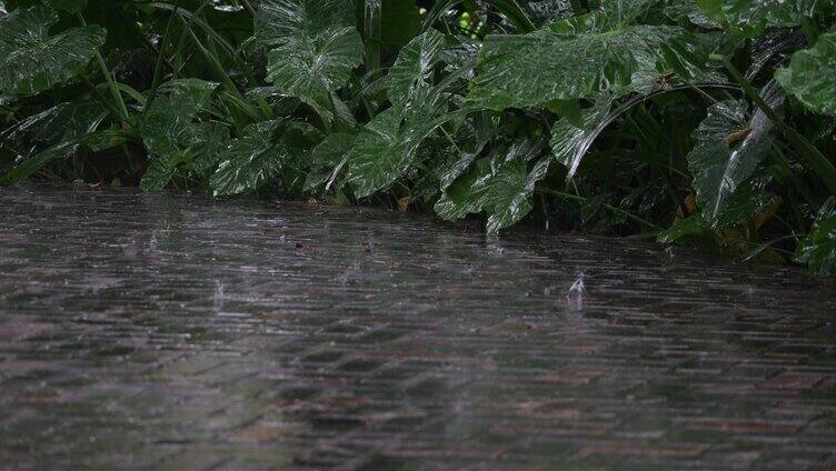 伤感雨天视频素材