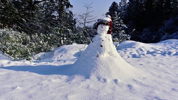 冰雪世界唯美雪景雪地雪娃娃堆雪人