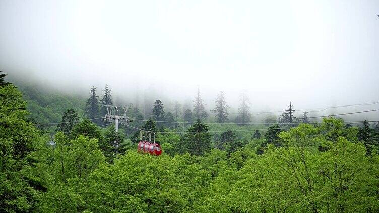 原始森林观光旅游索道缆车穿越唯美风景