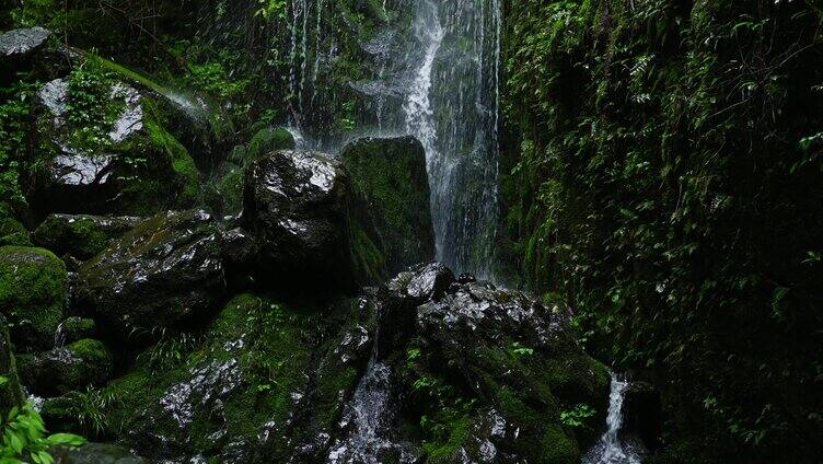 原生态清澈溪水山涧流