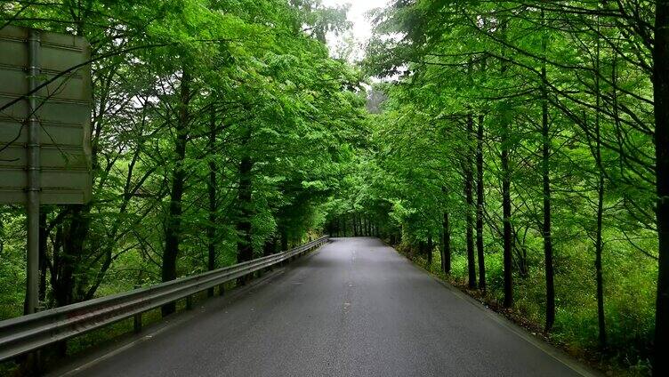 绿美大自然森林公路航拍