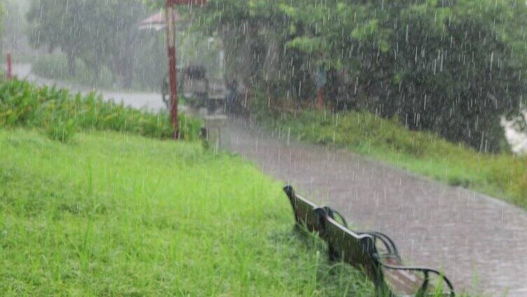 暴雨天气雨天公园一角