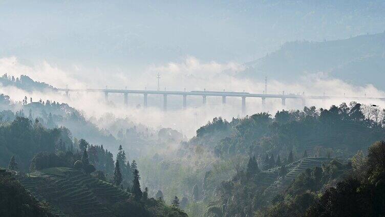 成雅高铁穿越唯美茶园云雾缭绕