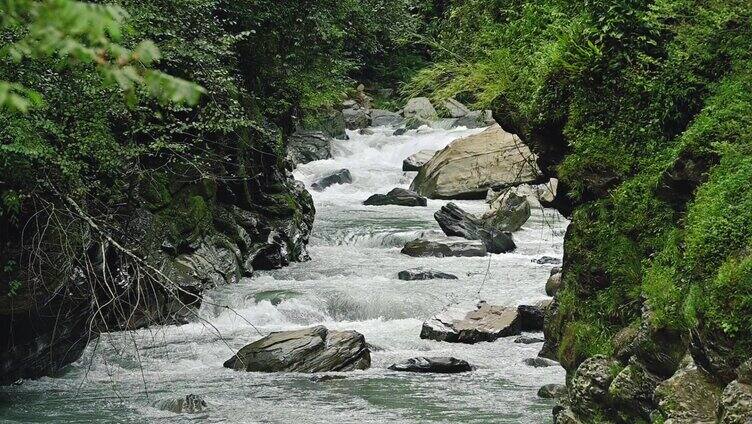 原始生态山涧溪流河水流淌