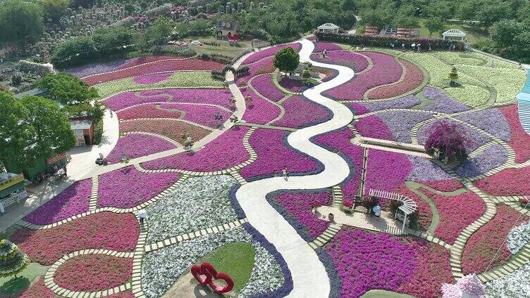 漫花庄园花海