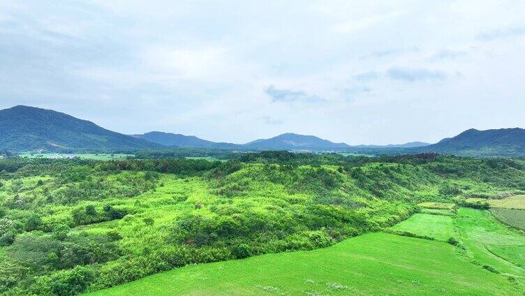 美丽乡村自然生态农田庄稼