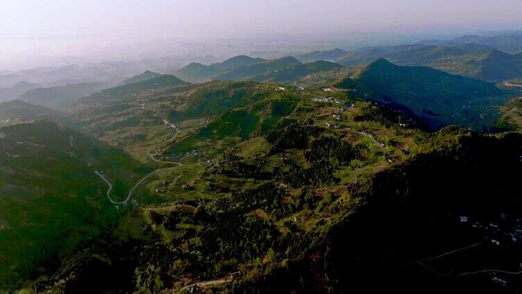 龙泉山青山航拍