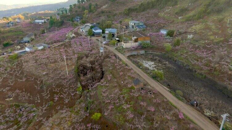 龙泉山航拍桃源